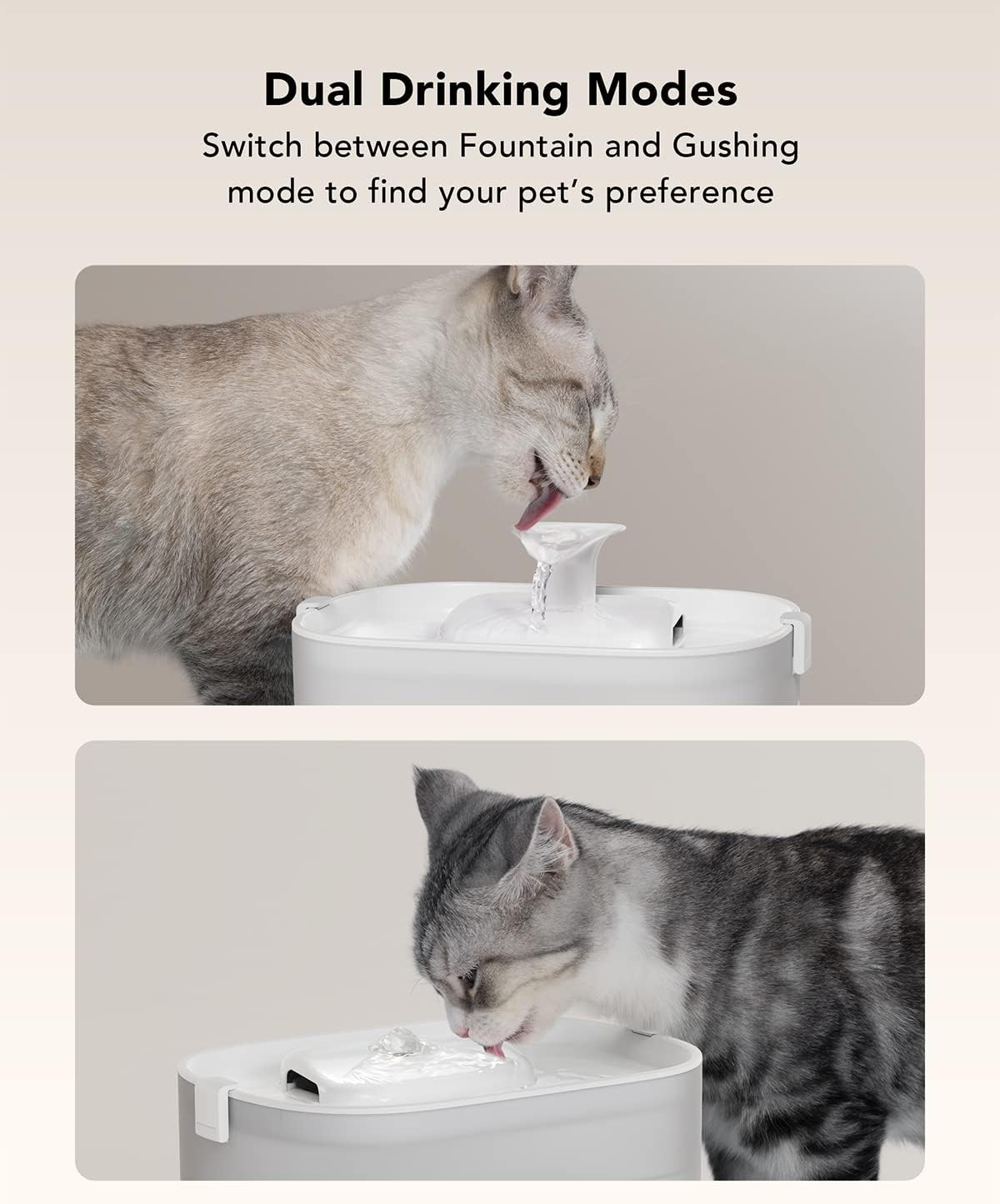 PETLIBRO Replacement Filters for Dockstream Cat Water Fountain PLWF005 PLWF115 PLWF105, 4 Months Set of Replacement Filters for Ultra Quiet Pet Water Fountain,White 8 Count (Pack of 1) Visit the PETLI